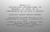 MODULO II SUSTRACCION INTERNACIONAL DE MENORES: EL PAPEL DE LA CONFERENCIA DE LA HAYA E INCADAT