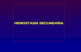 HEMOSTASIA SECUNDARIA