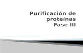 Purificación de proteínas Fase III