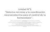Unidad N°1: “Sistema nervioso y la coordinación neuroendocrina para el control de la homeostasis”.