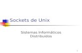 Sockets de Unix