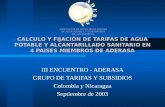 III ENCUENTRO - ADERASA GRUPO DE TARIFAS Y SUBSIDIOS Colombia y Nicaragua Septiembre de 2003