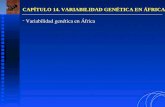 CAPÍTULO 14. VARIABILIDAD GENÉTICA EN ÁFRICA  Variabilidad genética en África