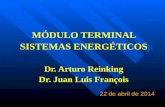 MÓDULO TERMINAL SISTEMAS  ENERGÉTICOS Dr. Arturo  Reinking Dr. Juan Luis François