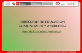 DIRECCION DE EDUCACION COMUNITARIA Y AMBIENTAL