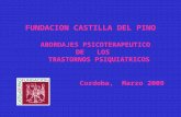 FUNDACION CASTILLA DEL PINO ABORDAJES PSICOTERAPEUTICO  DE   LOS     TRASTORNOS PSIQUIATRICOS