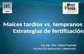 Maíces tardíos vs. tempranos  Estrategias de fertilización