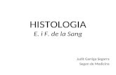 HISTOLOGIA E. i F. de la Sang