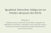 Igualdad: Derechos indígenas en México después del EZLN .