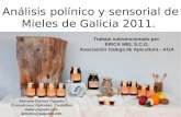 Análisis polínico y sensorial de Mieles de Galicia 2011.