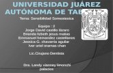 Universidad Juárez autónoma de tabasco