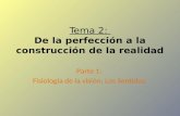 Tema 2:  De la perfección a la construcción de la realidad