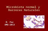 Microbiota normal y  Barreras Naturales