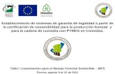 Taller: Lineamientos  para el Manejo Forestal Sostenible  – MFS Pereira, agosto  9 al 12 de 2011