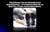 PROGRAMA DE EXTENSIBILIDAD ISQUIOSURAL Y POTENCIACIÓN DE LA MUSCULATURA PARAVERTEBRAL