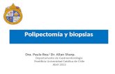 Polipectomía  y biopsias