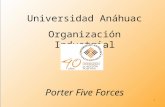 Universidad Anáhuac Organización Industrial Porter Five Forces