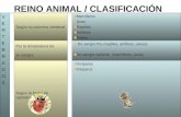 REINO ANIMAL / CLASIFICACIÓN