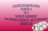 COLEGIO DE BACHILLERES  PLANTEL 6 TIC II “VICENTE GUERRERO” MALDONADO GONZALEZ  MITZI FERNANDA