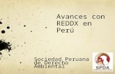 Avances con REDDX en  Perú