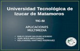 Universidad Tecnológica de Izucar de Matamoros  TIC-SI