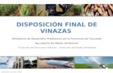 DISPOSICIÓN FINAL DE VINAZAS