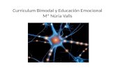 Currículum Bimodal y Educación Emocional Mª Núria Valls
