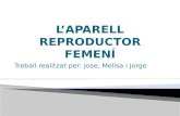 L’APARELL REPRODUCTOR FEMENÍ
