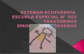 ESTEBAN ECHEVERRÍA  ESCUELA ESPECIAL N° 503 TRASTORNOS EMOCIONALES SEVEROS