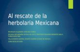 Al rescate de la herbolaria Mexicana