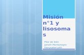 Misión n°1 y lisosomas