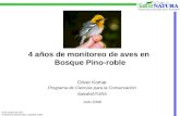 4 años de monitoreo de aves en  Bosque Pino-roble
