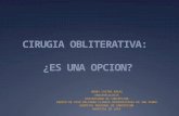 CIRUGIA OBLITERATIVA:  ¿ES UNA OPCION?