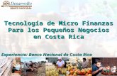 Tecnología de Micro Finanzas Para los Pequeños Negocios en Costa Rica