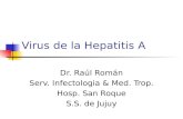 Virus de la Hepatitis A