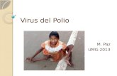Virus  del  Polio