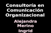 Consultoría en Comunicación Organizacional
