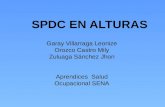 SPDC EN ALTURAS
