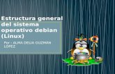 Estructura general del sistema  operativo debian (Linux)