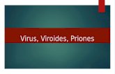 Virus, Viroides,  Priones