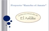 Proyecto “Rancho el Amate”
