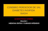 CEREBRO PERDEDOR DE SAL DIABETES INSIPIDA  SIADH