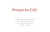Proyecto CAS