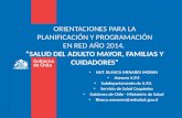 NUT. BLANCA MENARES MORAN Asesora A.P.S Subdepartamento  de A.P.S. Servicio de Salud Coquimbo