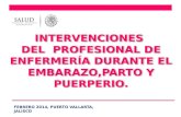 INTERVENCIONES  DEL   PROFESIONAL DE ENFERMERÍA DURANTE EL EMBARAZO,PARTO Y PUERPERIO.