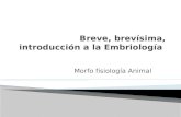 Breve, brevísima, introducción a la Embriología