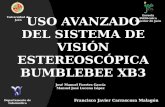 Uso Avanzado del Sistema de Visión Estereoscópica  Bumblebee  XB3