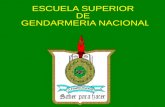 ESCUELA SUPERIOR  DE  GENDARMERIA NACIONAL