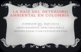 La raíz  deL DEteriorO  ambiental EN COLOMBIA