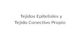 Tejidos Epiteliales y  Tejido Conectivo Propio